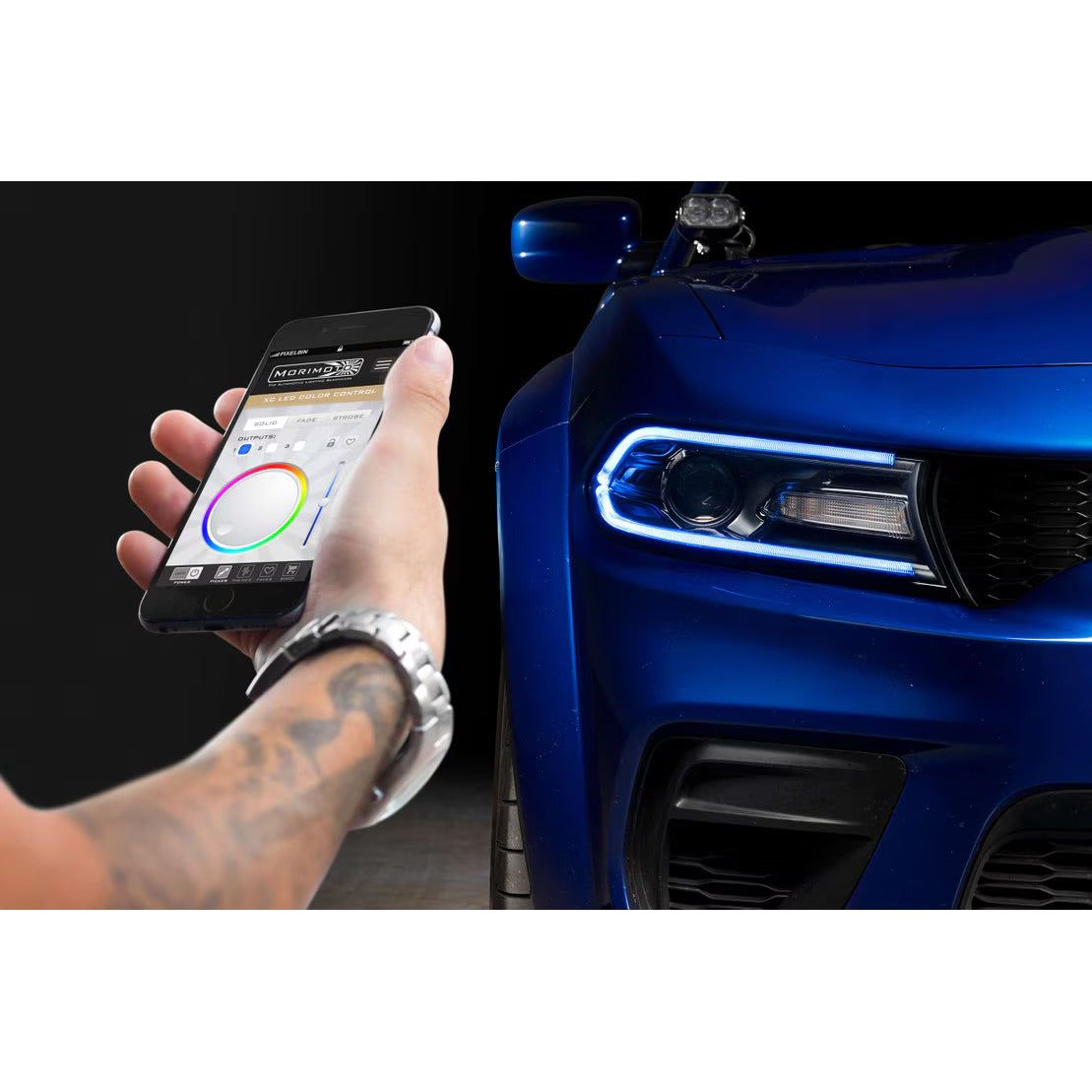 Morimoto Dodge Charger (15-23) XRGB LED Headlights