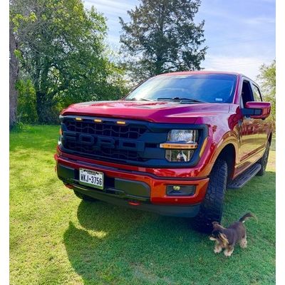 2024+ Ford F150 Raptor Style Grille