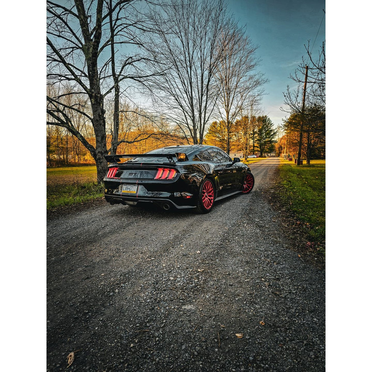 2015-2022 Ford Mustang - GT500 Track Pack Gloss black