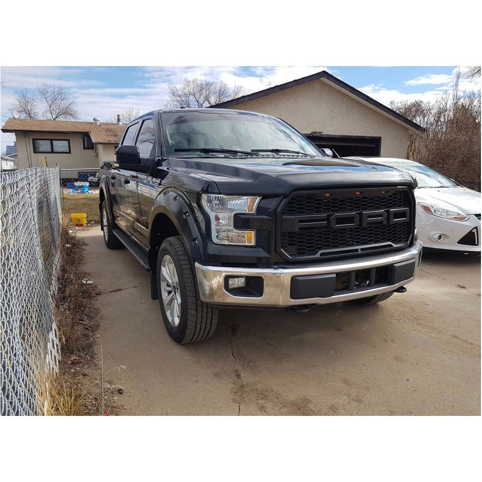 2015-2017 Ford F150 - Raptor Style Grille