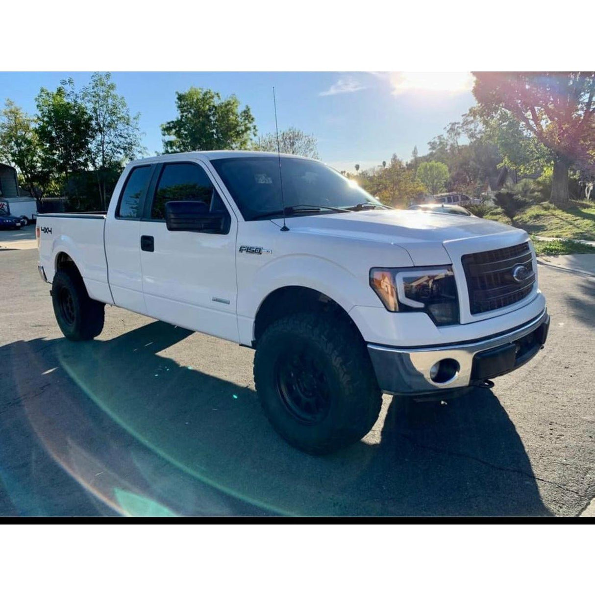 2009-2014 Ford F150 | Alpharex Pro-Series Projector Headlights Black - Truck Accessories Guy