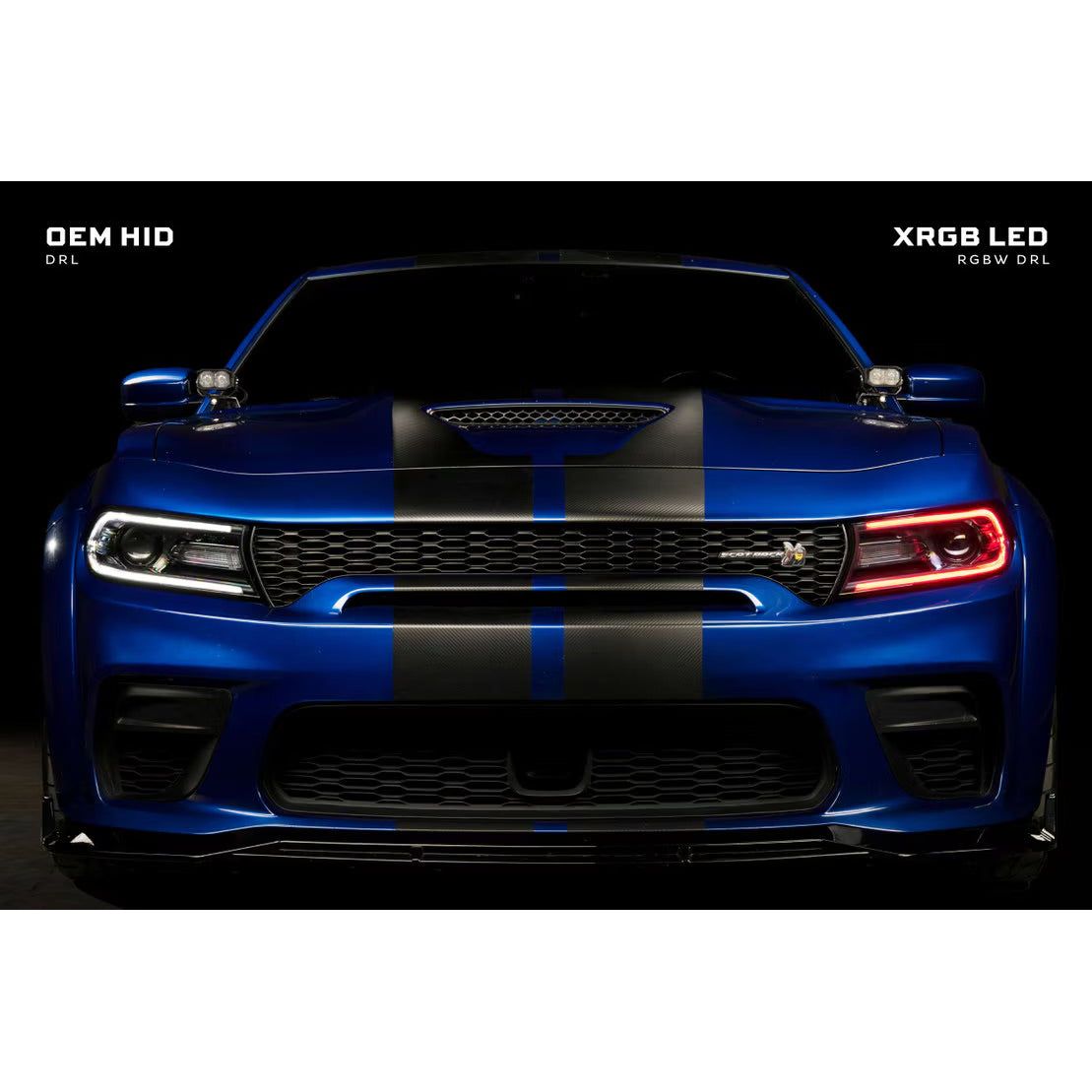 Morimoto Dodge Charger (15-23) XRGB LED Headlights