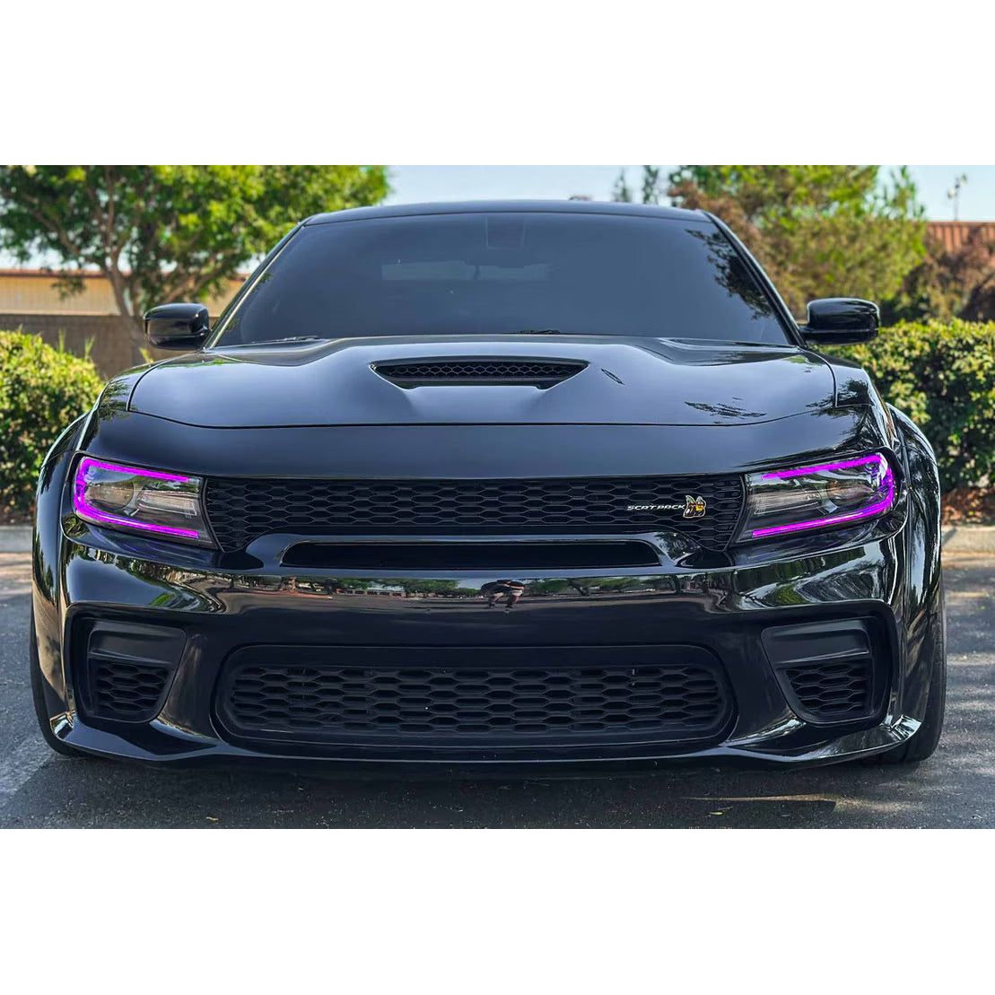 Morimoto Dodge Charger (15-23) XRGB LED Headlights