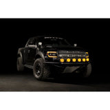 Morimoto Ford SVT Raptor (10-14) XB Evo LED Headlights