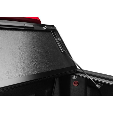 Photo - Close Up