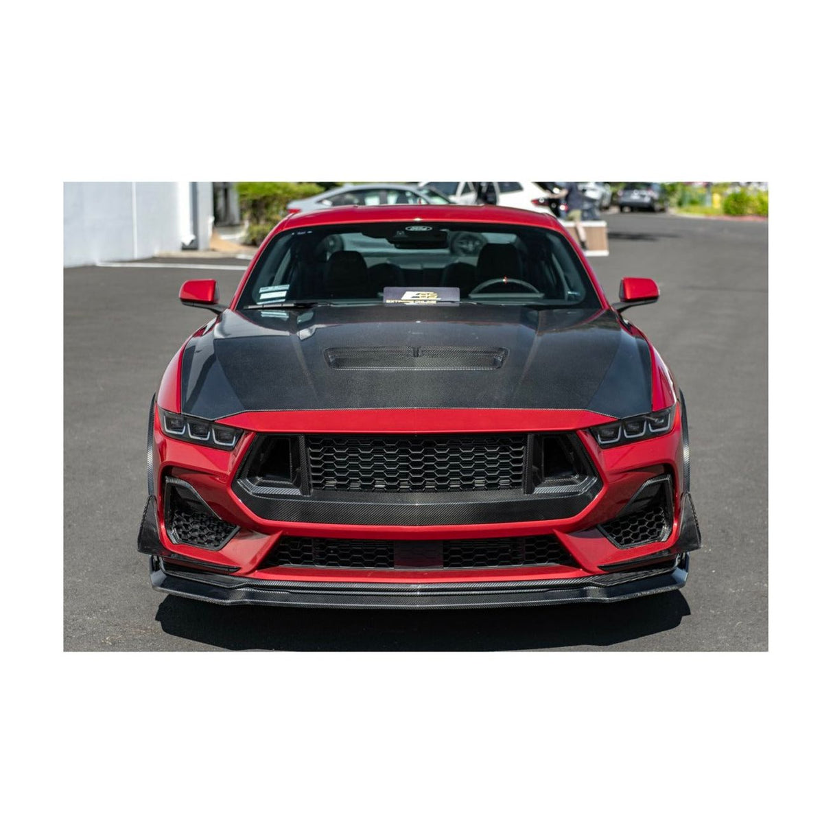 2024+ Ford Mustang GT - Carbon Fiber Front Grille