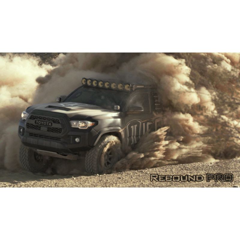 Photo - lifestyle view