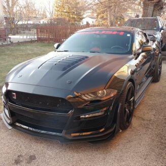 Ford Mustang - GT500 Style Black Front Hood Cover Aluminum