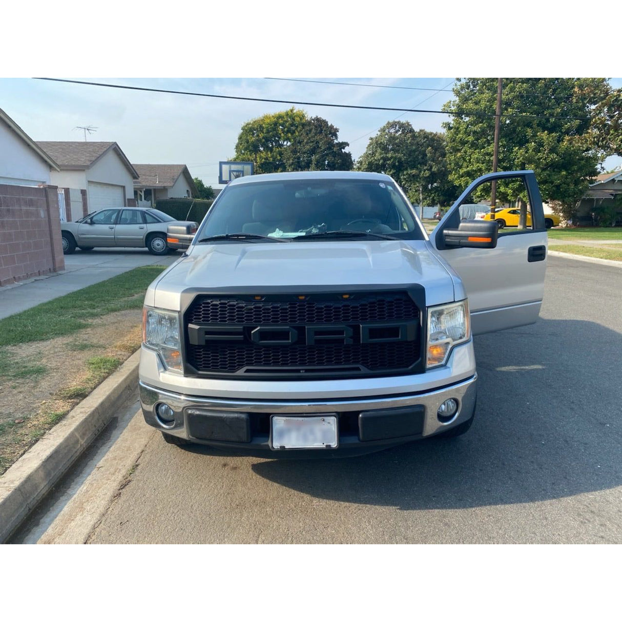 2009-2014 Ford F150 - Raptor Style Grille