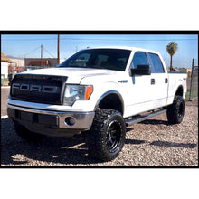 Load image into Gallery viewer, 2009-2014 Ford F150 | Raptor Style Grille Black - Truck Accessories Guy