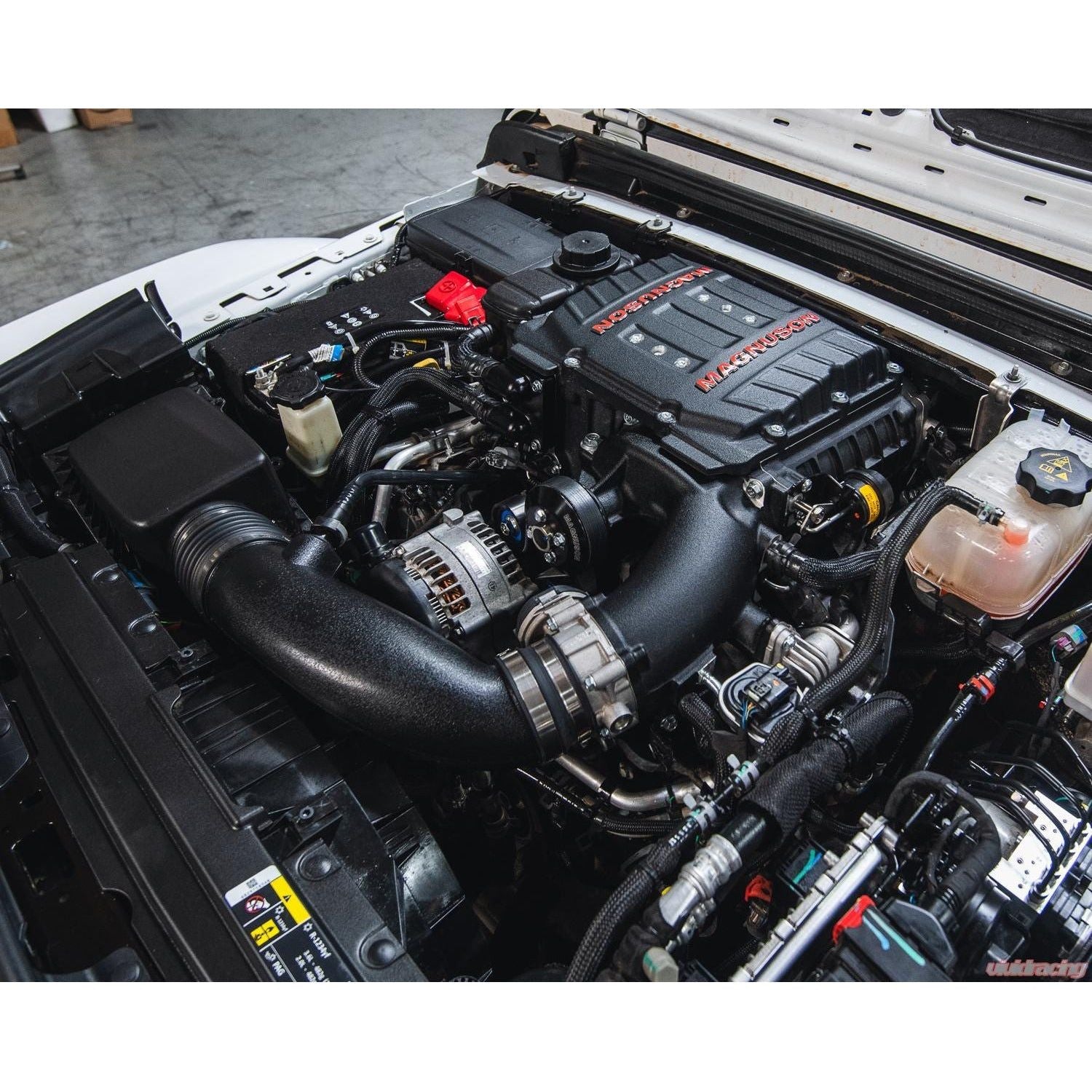 Gladiator magnuson Clearance