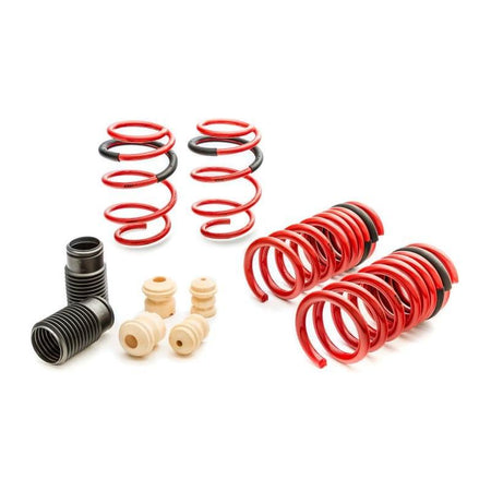 Eibach Sportline Kit for 2015 Mustang GT 5.0L V8 - NP Motorsports