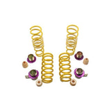 KW H.A.S. for BMW M5/M6 - NP Motorsports