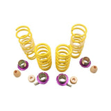 KW H.A.S. for BMW M5/M6 - NP Motorsports